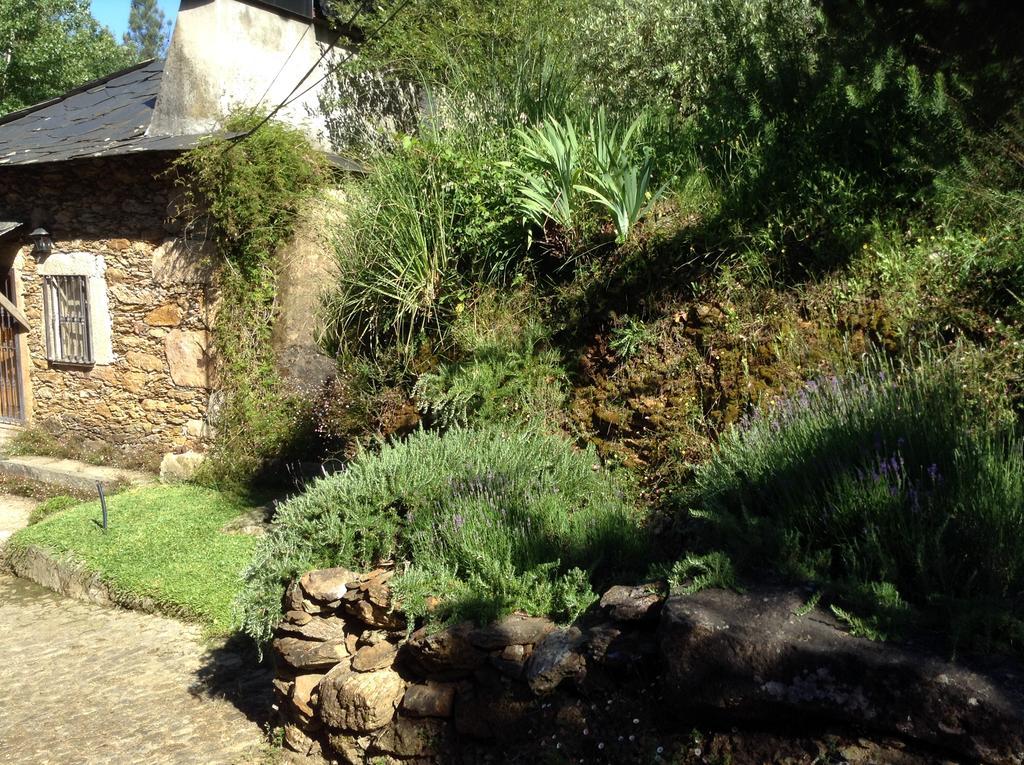 Saberamar Little Country Villa Arouca Exterior photo